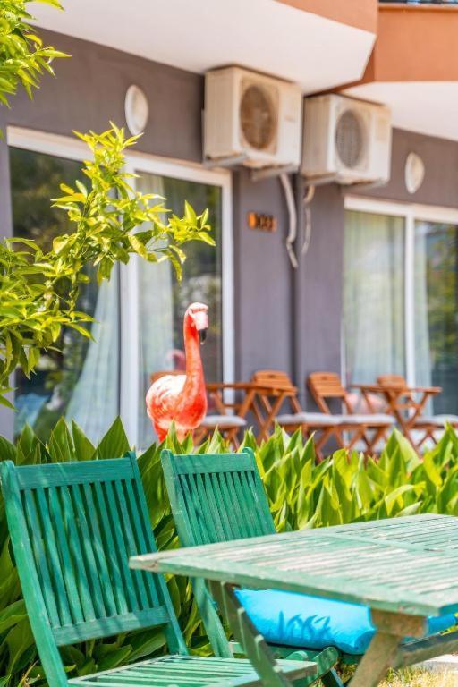 Gizlikoyhotel アンタルヤ エクステリア 写真